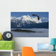 Bald Eagle Soars Above The Inside Passage Wall Mural