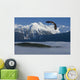 Bald Eagle Soars Above The Inside Passage Wall Mural