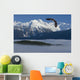 Bald Eagle Soars Above The Inside Passage Wall Mural