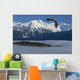 Bald Eagle Soars Above The Inside Passage Wall Mural