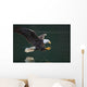 Bald Eagle Catching Fish Wall Mural