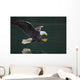 Bald Eagle Catching Fish Wall Mural