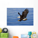 Bald Eagle Preparing To Grab Fish Out Of Water Wall Mural