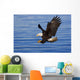 Bald Eagle Preparing To Grab Fish Out Of Water Wall Mural