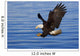 Bald Eagle Preparing To Grab Fish Out Of Water Wall Mural