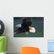 Close Up Of A Bald Eagle Catching A Fish Wall Mural
