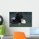 Close Up Of A Bald Eagle Catching A Fish Wall Mural