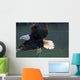 Close Up Of A Bald Eagle Catching A Fish Wall Mural