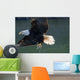 Close Up Of A Bald Eagle Catching A Fish Wall Mural