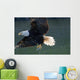 Close Up Of A Bald Eagle Catching A Fish Wall Mural