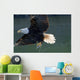 Close Up Of A Bald Eagle Catching A Fish Wall Mural