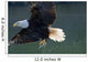 Close Up Of A Bald Eagle Catching A Fish Wall Mural