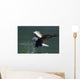 Close Up Of A Bald Eagle Catching A Fish Wall Mural