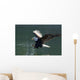 Close Up Of A Bald Eagle Catching A Fish Wall Mural