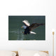Close Up Of A Bald Eagle Catching A Fish Wall Mural