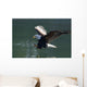 Close Up Of A Bald Eagle Catching A Fish Wall Mural