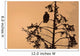 Silhouette Of A Bald Eagle Perched On A Tree At Sunset Wall Mural