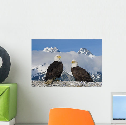 Composite Wall Mural