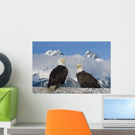Composite Wall Mural