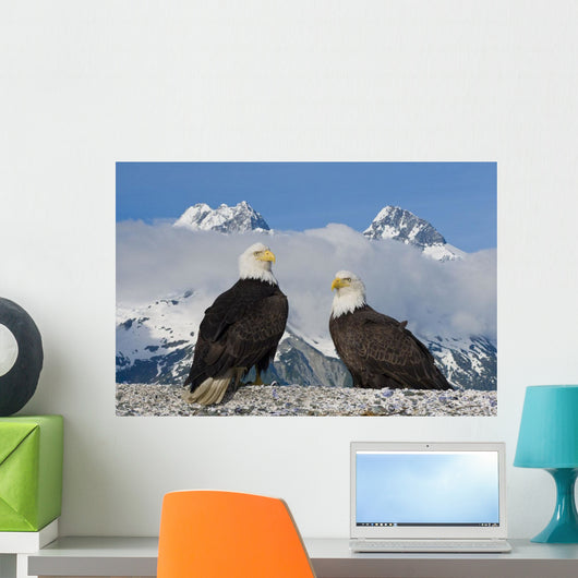 Composite Wall Mural