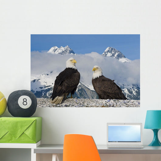 Composite Wall Mural