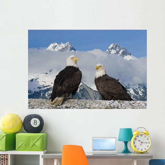 Composite Wall Mural