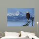Bald Eagle Perched Wall Mural
