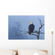 Bald Eagle Perched Wall Mural