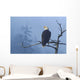 Bald Eagle Perched Wall Mural