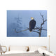 Bald Eagle Perched Wall Mural