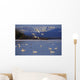 Trumpeter & Tundra Swans Rest @ Marsh Lake Wall Mural