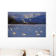 Trumpeter & Tundra Swans Rest @ Marsh Lake Wall Mural