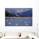 Trumpeter & Tundra Swans Rest @ Marsh Lake Wall Mural