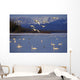 Trumpeter & Tundra Swans Rest @ Marsh Lake Wall Mural