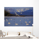Trumpeter & Tundra Swans Rest @ Marsh Lake Wall Mural