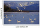 Trumpeter & Tundra Swans Rest @ Marsh Lake Wall Mural