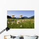 Alaska Cotton Grass Wall Mural
