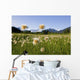 Alaska Cotton Grass Wall Mural