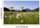 Alaska Cotton Grass Wall Mural
