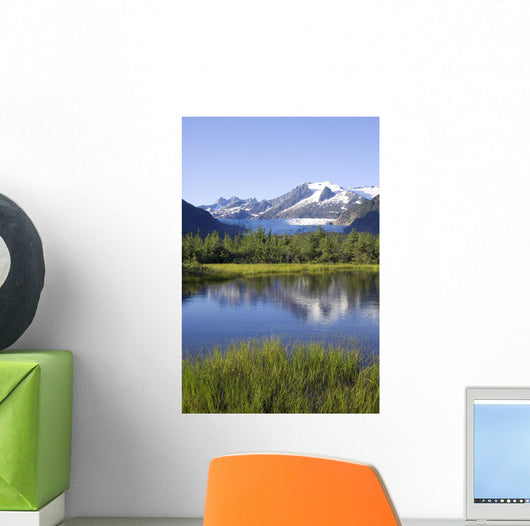 View Of Mendenhall Glacier With Pond And Green Grass Wall Mural
