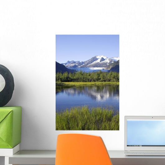 View Of Mendenhall Glacier With Pond And Green Grass Wall Mural