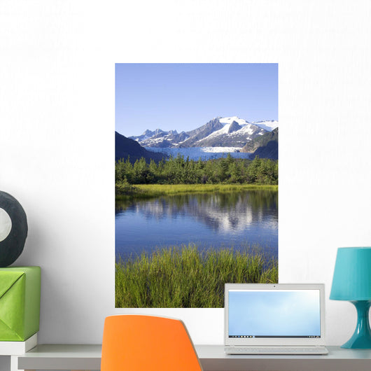View Of Mendenhall Glacier With Pond And Green Grass Wall Mural
