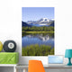View Of Mendenhall Glacier With Pond And Green Grass Wall Mural
