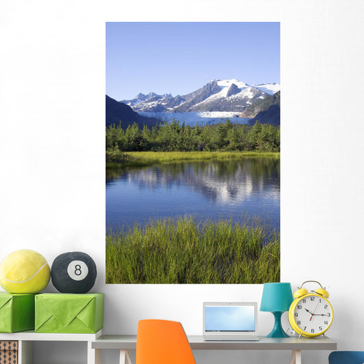 View Of Mendenhall Glacier With Pond And Green Grass Wall Mural