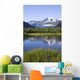 View Of Mendenhall Glacier With Pond And Green Grass Wall Mural