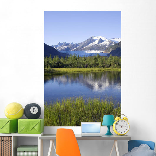 View Of Mendenhall Glacier With Pond And Green Grass Wall Mural