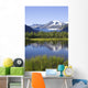 View Of Mendenhall Glacier With Pond And Green Grass Wall Mural