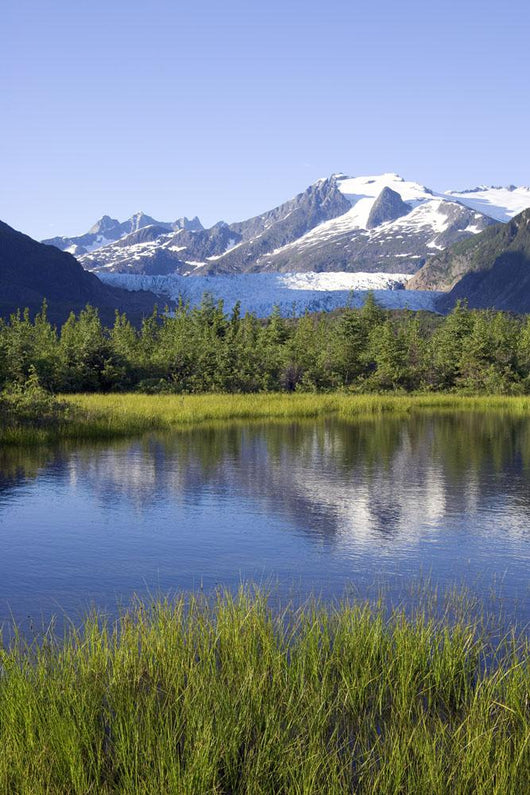 View Of Mendenhall Glacier With Pond And Green Grass Wall Mural