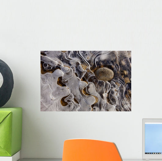 Ice Forms Wall Mural