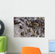 Ice Forms Wall Mural
